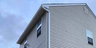 Historical Building Siding Restoration in Four Square Mile, CO